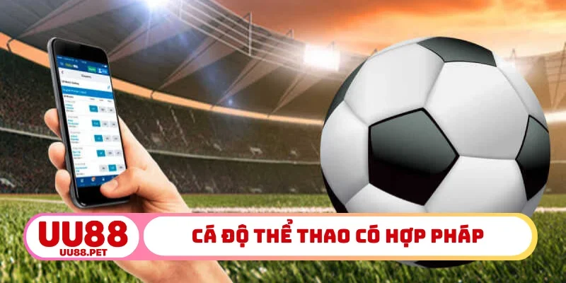 Cá độ thể thao có hợp pháp không