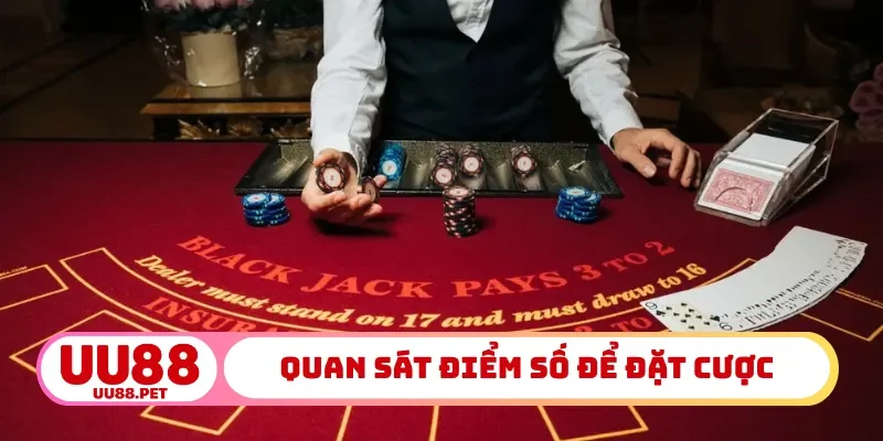 Quan sát điểm số để đặt cược