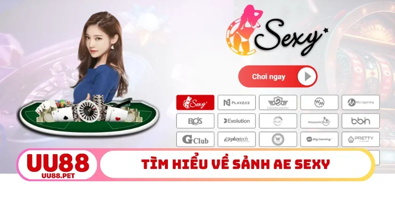 Tìm hiểu về sảnh AE Sexy